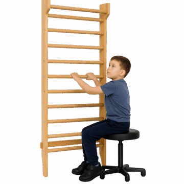 سلم الحائط